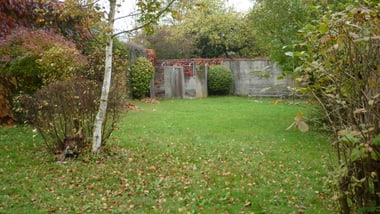 Garten mit grünem Rasen, Bäumen und Sträuchern.