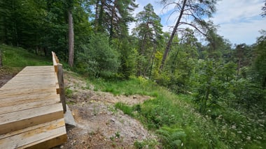 Holzweg im Wald mit Bäumen und Pflanzen.