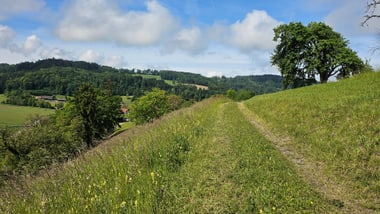 Ländliche Landschaft mit Graspfad und Bäumen.