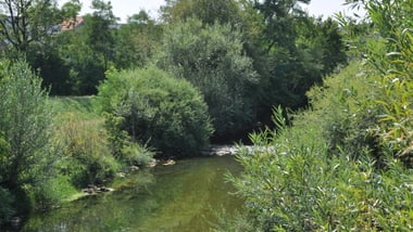 Tössufer im Sommer