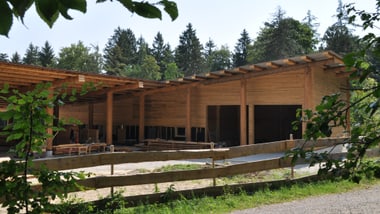 Holzgebäude im Wald mit sichtbaren Baumspitzen.