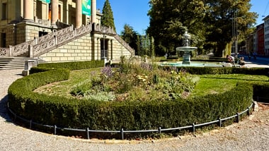 Semper Stadthaus mit Treppen und Brunnen im Vordergrund, Bäume im Hintergrund.
