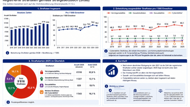 Infografik über Straftaten in Winterthur 2016–2025 mit Diagrammen und Statistiken.