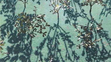 Gemalte Bäume mit Schatten auf blau-grünem Hintergrund.