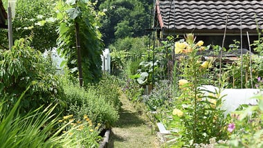 Gartenweg in einem Püntenareal umgeben von blühenden Blumen