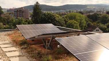 Solarmodule auf einem begrünten Dach mit Stadtansicht im Hintergrund.