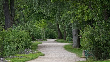 Waldweg mit Bäumen und Bänken.