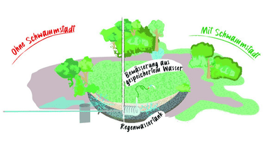 Illustration eines Regenwasserspeichersystems mit Bäumen.