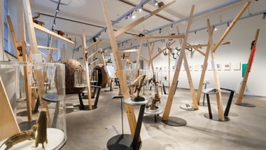 Eine Übersicht der Eichhörnchenausstellung