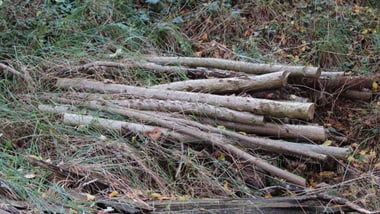 Gestapelte Holzstücke im Gras.
