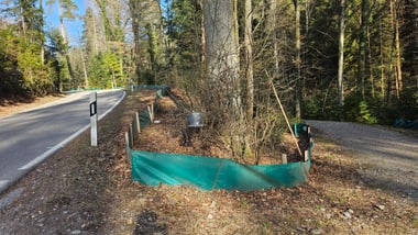 Mobiler Amphibienschutzzaun entlang der Ricketwilerstrasse.