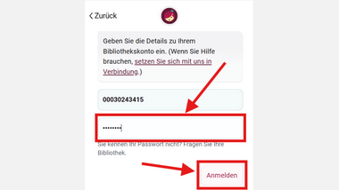 Screenshot mit Passwort Eingabe