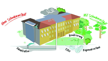 Gespaltenes Gebäude mit Illustrationen von Entwässerung und Begrünung.