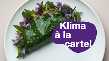 Gericht auf Teller mit Blatt und Blüten dekoriert. Violettes Logo "Klima à la carte".