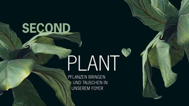 Grüne Blätter auf dunklem Hintergrund mit Text.