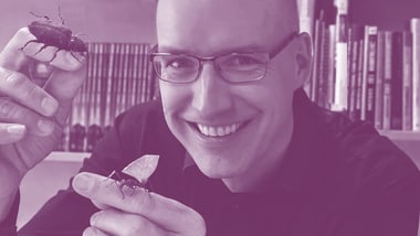 Person mit Brille hält zwei Insekten in der Hand.