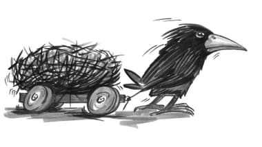 Krähe zieht einen Wagen mit Nest.
