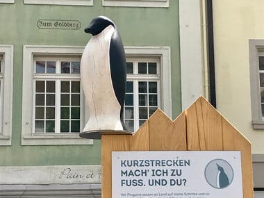 Pinguinstatue mit Informationsplakaten in der Winterthurer Altstadt.