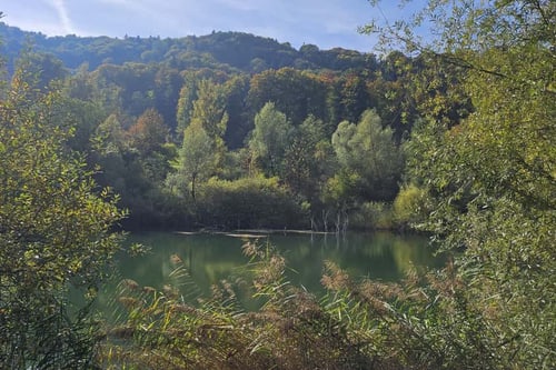 Naturschutzgebiet Lehmgrube Dättnau mit kleinem See und Bäumen..