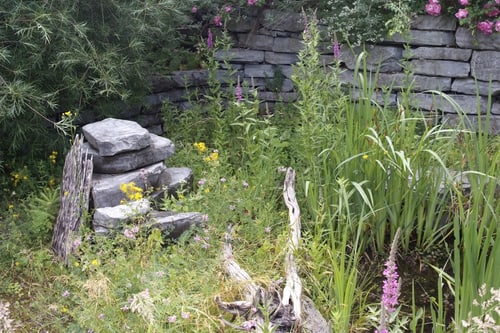 Steinmauer mit Wildblumen und Gräsern im Vordergrund.