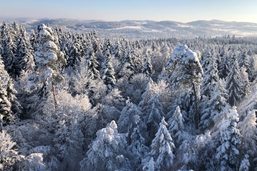 Luftaufnahme von verschneitem Wald und Hügeln.