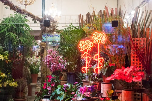 Blumenladen mit Neonlichtern und Pflanzen.