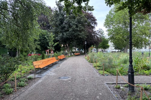 Parkweg mit Bäumen und Bänken.