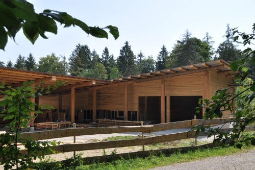 Holzgebäude im Wald mit sichtbaren Baumspitzen.