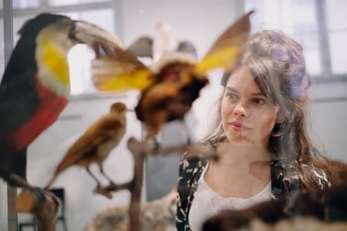 Frau betrachtet ausgestopfte Vögel in einem Museum.