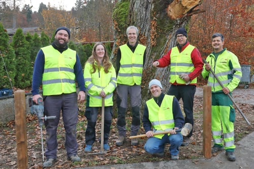 Sechs Personen in gelben Sicherheitswesten posieren vor einem Baum.