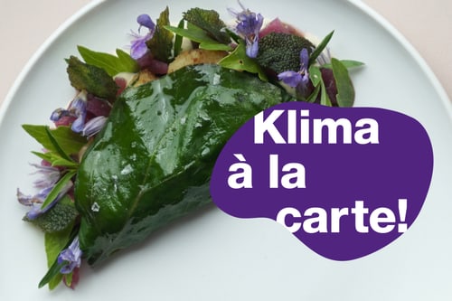Gericht auf Teller mit Blatt und Blüten dekoriert. Violettes Logo "Klima à la carte".