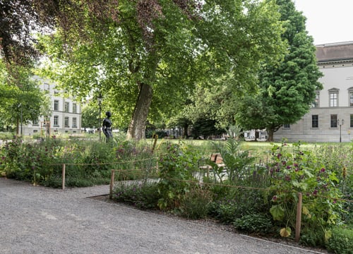 Garten mit Bäumen, Blumen und historischem Gebäude.