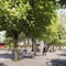 Visualisierung Bühne am Stadtgarten Stadthausstrasse