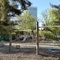 20260422 Schaukel_Spielplatz_Wartstr
