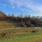 Landschaft mit Wiese, Bäumen und Häusern im Hintergrund.