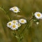 20240628_Bild 1