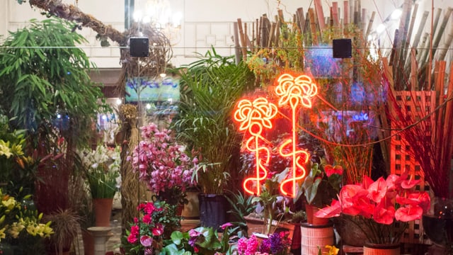 Blumenladen mit Neonlichtern und Pflanzen.