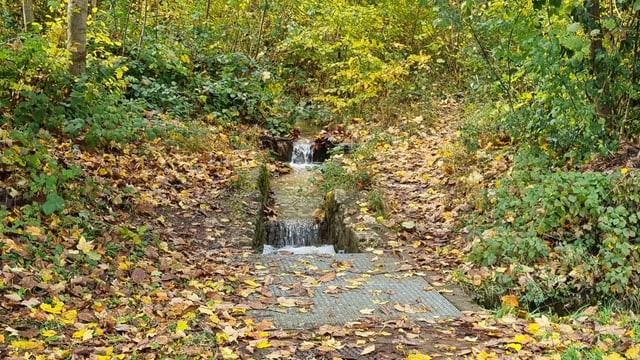 Veltheimer Dorfbach, Einlaufbauwerk im Wald oberhalb der Bettenstrasse