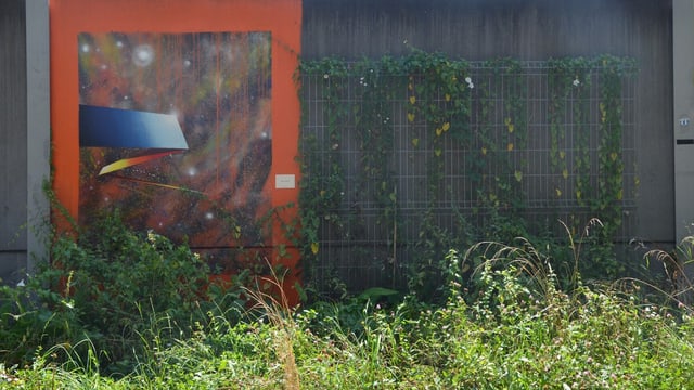 Abstraktes Wandbild auf leuchtend oranger Wand mit Grünpflanzen.