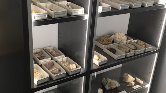 Regale mit Mineralien und Gesteinen in Kisten.