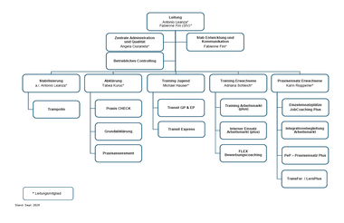 Organigramm mit verschiedenen Kästchen und Linien.