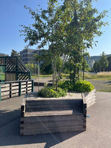Holzbank mit Baum und Pflanzen auf einem Platz.