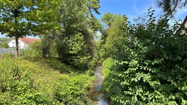Grüner Bachlauf unter blauem Himmel.